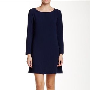 American Apparel long sleeve dress